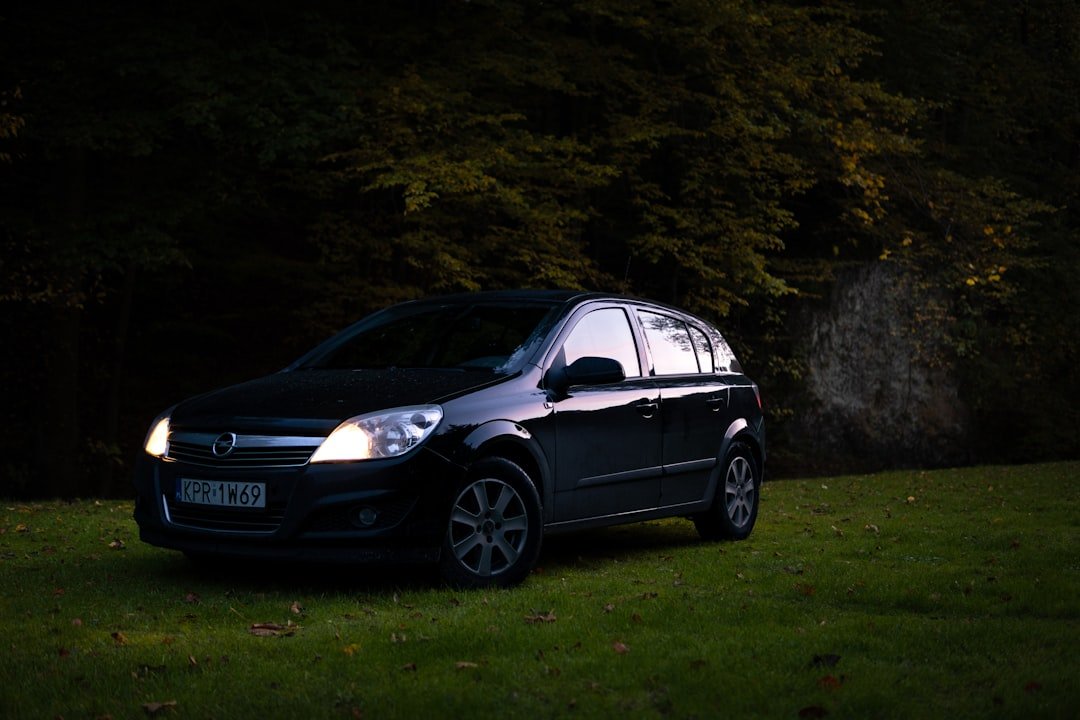 a small black car parked in a grassy field AOFIT